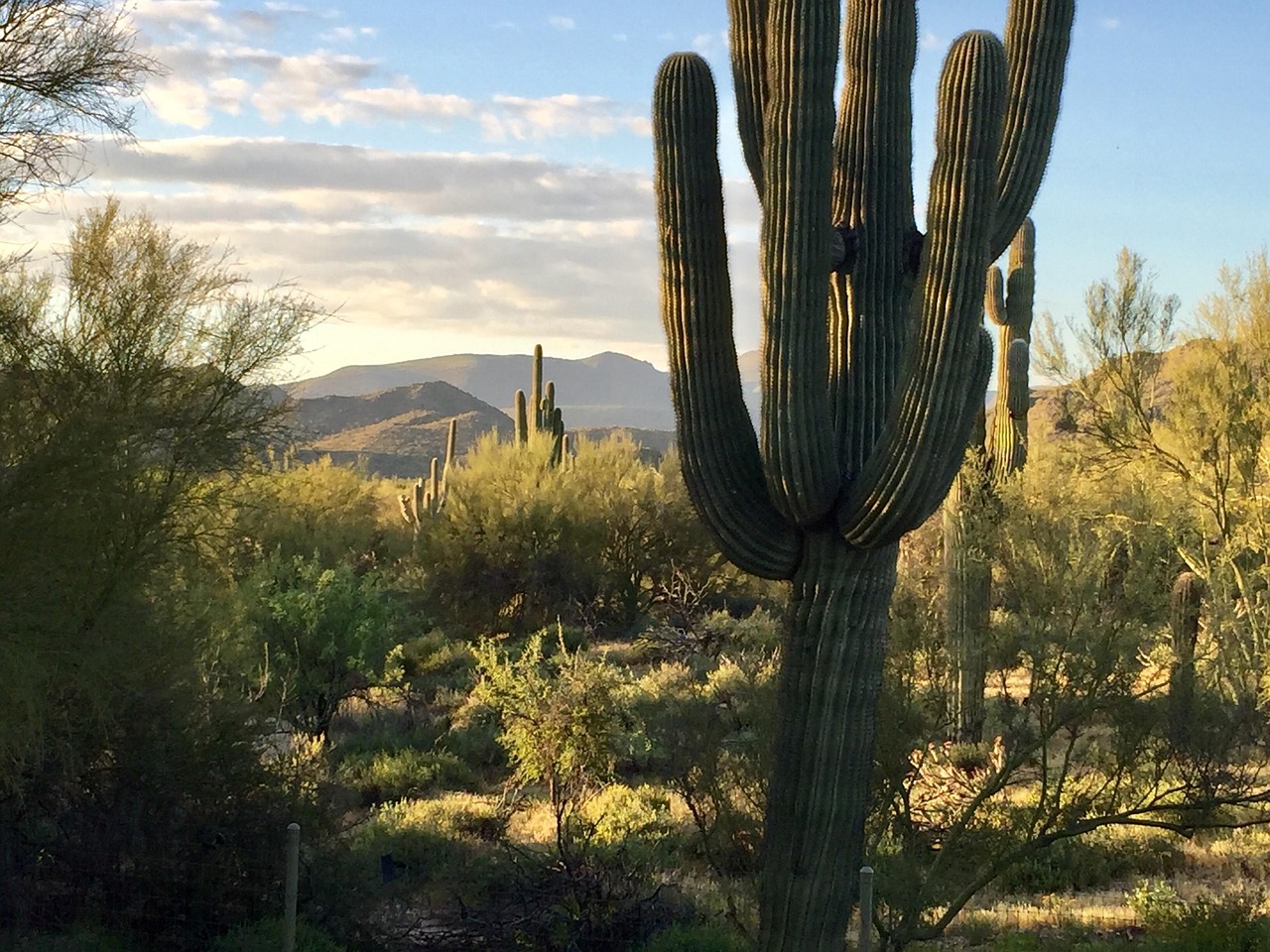 站群内容差异化策略,如何让每个站点都有独特价值